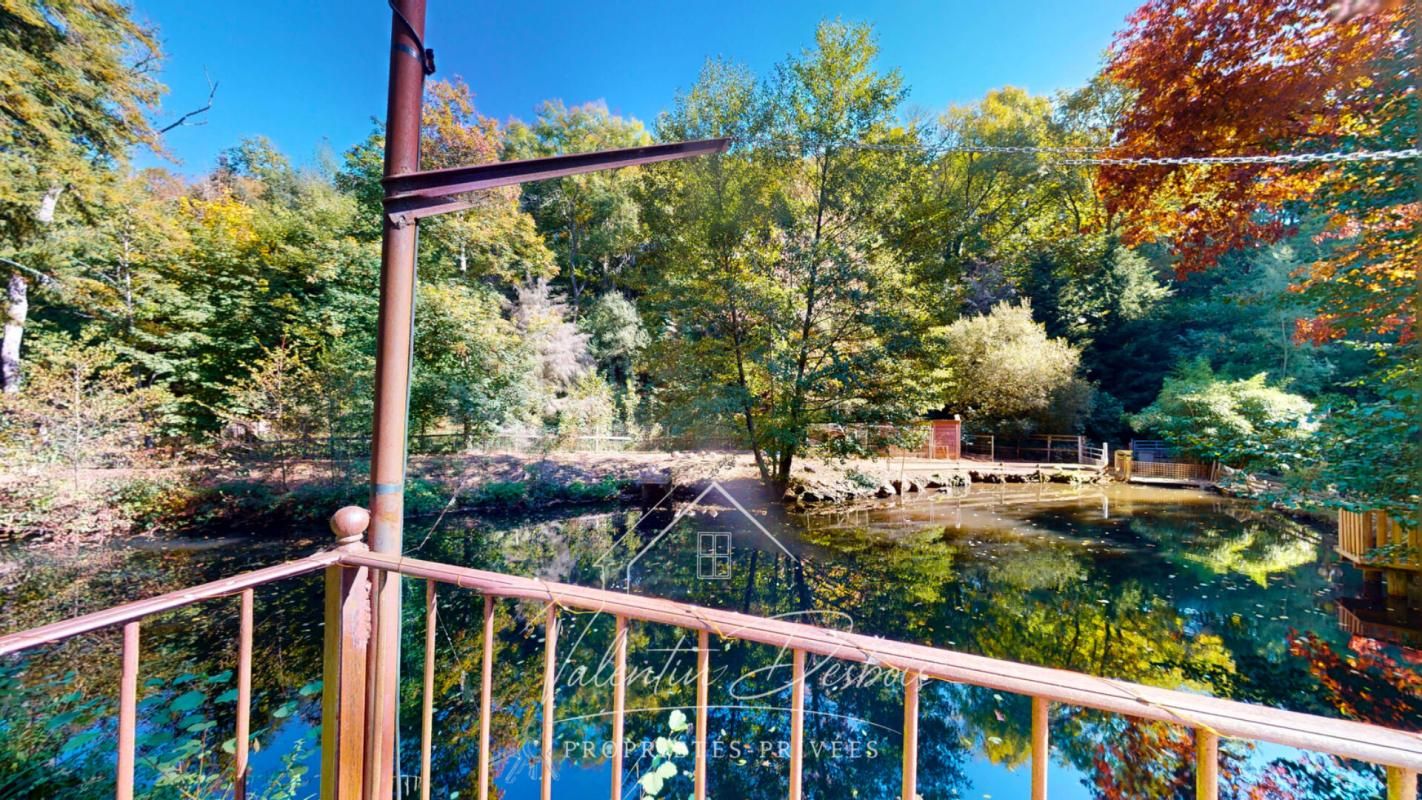 CARCASSONNE AUDE - AUBERGE - DOMAINE FORESTIER - 5 HECTARES 2