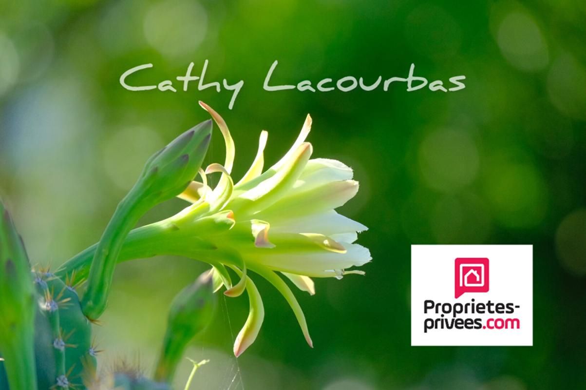 DESHAIES GUADELOUPE - Domaine touristique 30 couchages-Deshaies- Guadeloupe 2