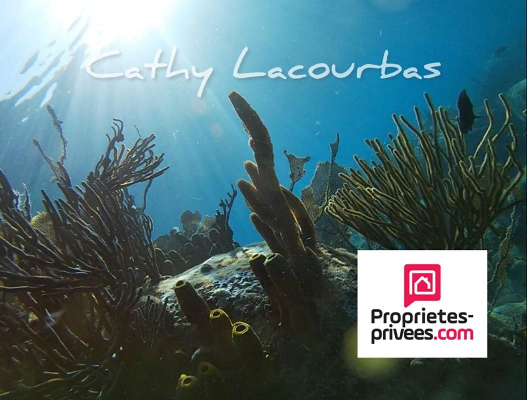 DESHAIES GUADELOUPE - Domaine touristique 30 couchages-Deshaies- Guadeloupe 4