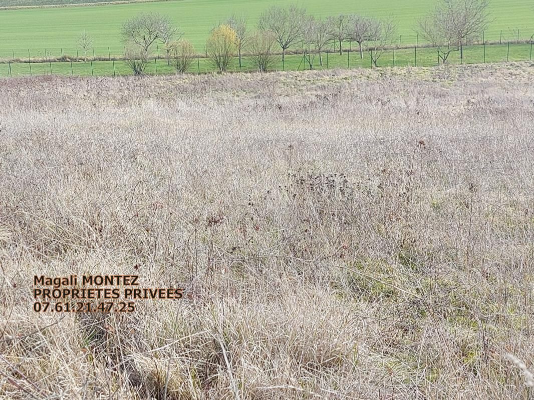 AIX-EN-OTHE TERRAIN A BATIR DE 3034 m2 - AIX VILLEMAUR PALIS 10160 4