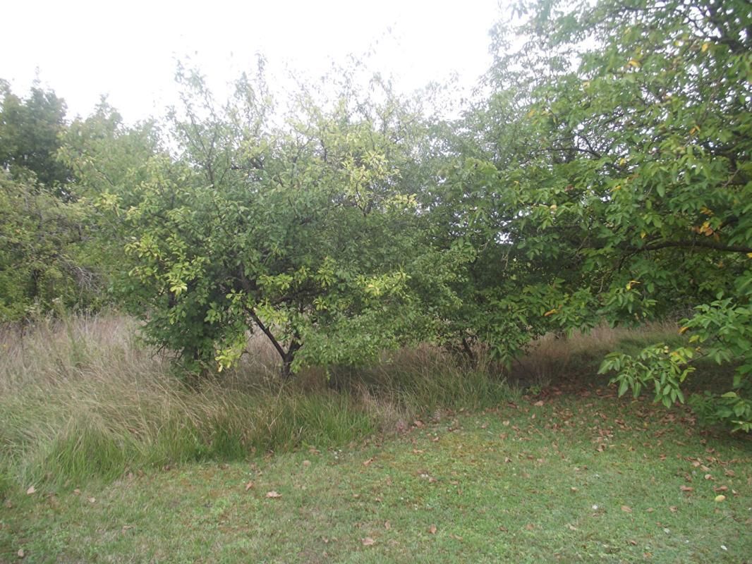 CHAVANGES Terrain constructible 2