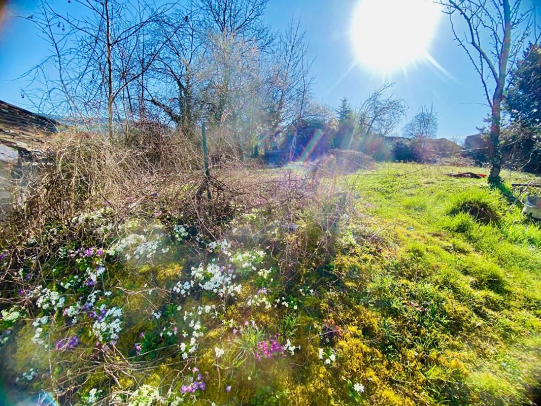 SAINT-AMOUR Maison / Immeuble  individuel 252 m2- 3 logements- Saint Amour 4