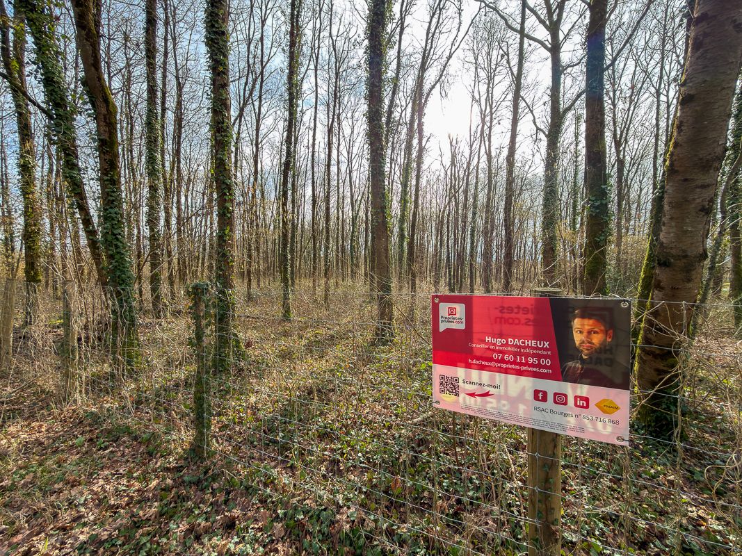 THENIOUX Terrain constructible - 6783 m² - Boisé - 2