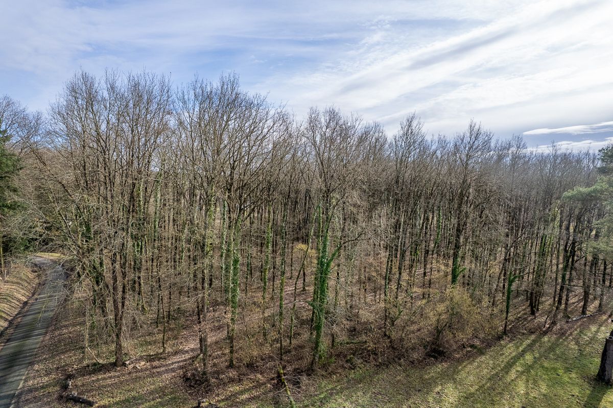 THENIOUX Terrain constructible - 6783 m² - Boisé - 4