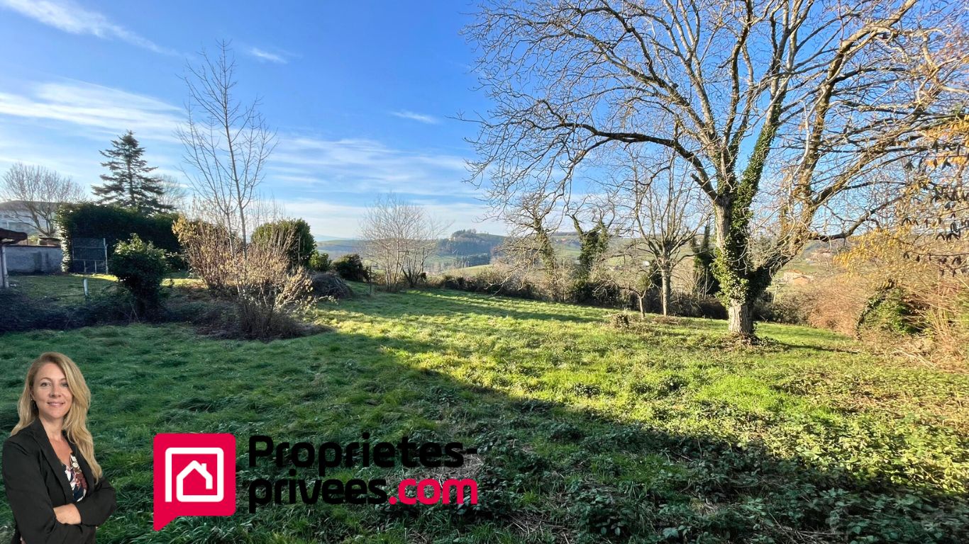 LA GRESLE Maison pierre 8 pièces, 159 m² et grand terrain 2