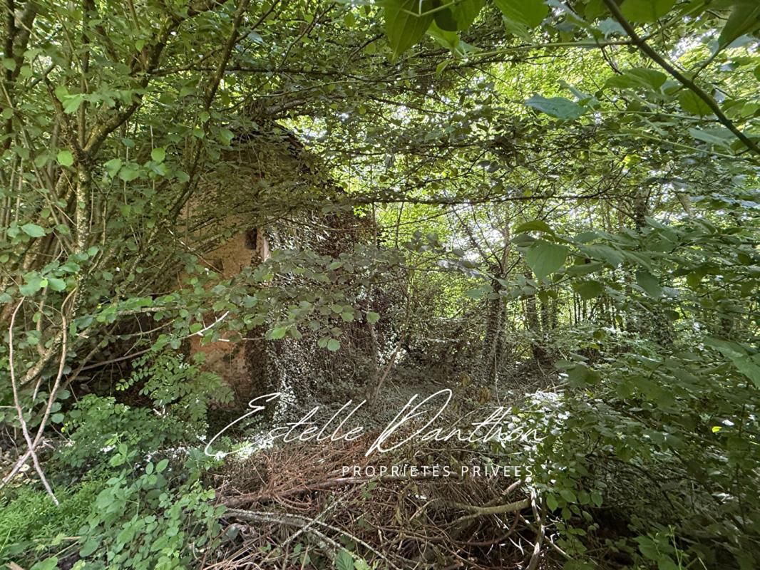 CHAMPIER Champier - Terrain constructible de 700 m2 avec foret de 6000m2 3