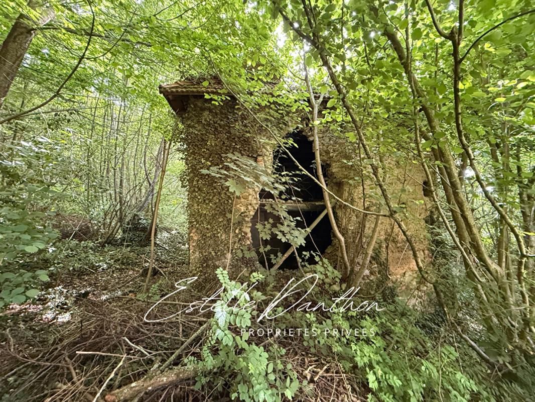 CHAMPIER Champier - Terrain constructible de 700 m2 avec foret de 6000m2 4