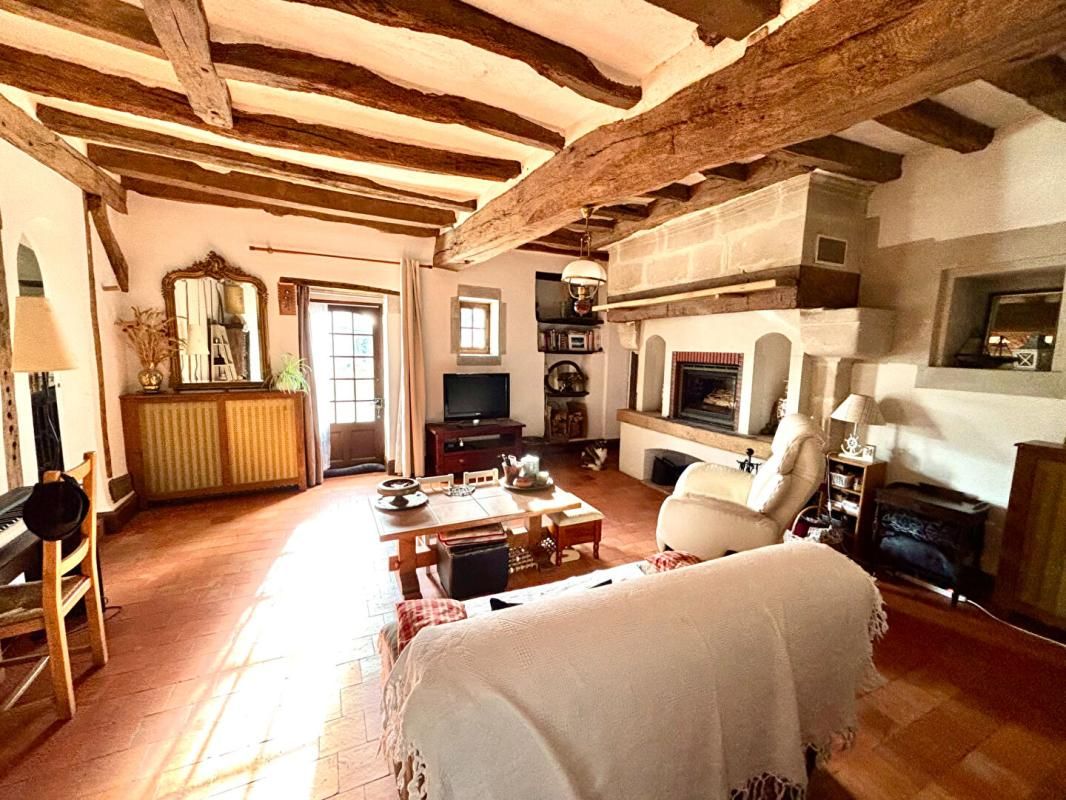 BEAUFORT-EN-VALLEE Demeure de prestige Beaufort En Anjou 7 pièce(s) 206 m2 3