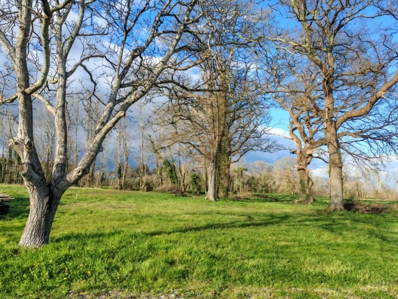 DAX Dépendance à aménager proche DAX POSSIBILITE 130 m2 sur terrain de 2825 m2 3