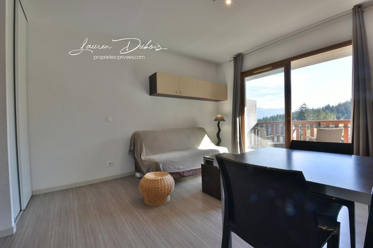 SELONNET CHABANON-SELONNET - Studio 23m² avec terrasse 4