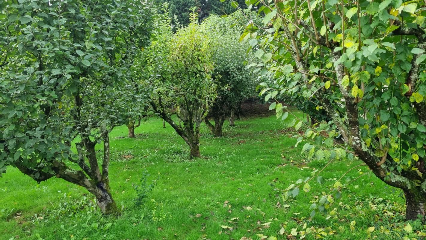 ASNIERES-SUR-VEGRE Maison de maître Asnieres Sur Vegre 7 pièce(s) 145 m2 4