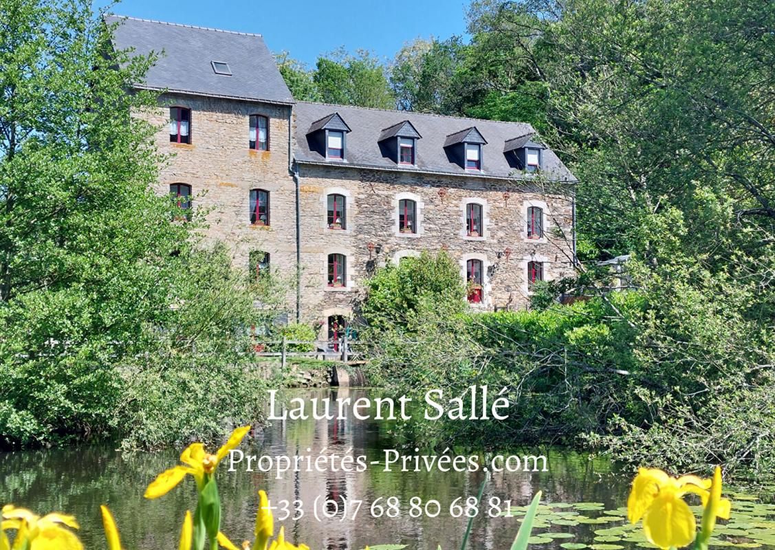 Moulin: Gîtes / Chambres d'hôtes  (621 m2)