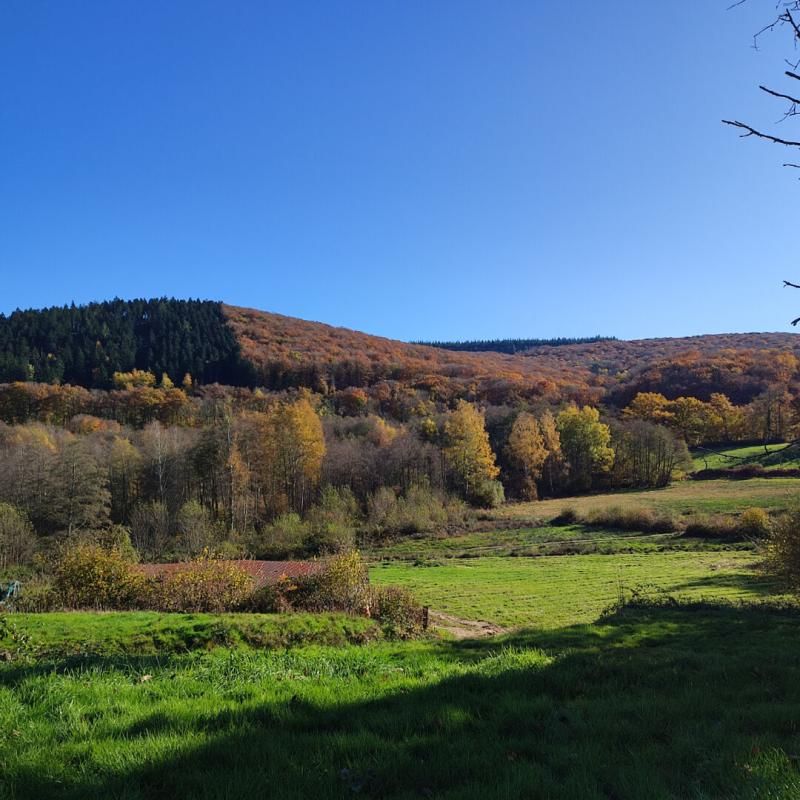 Maison Marigny L'Eglise 2 pièces  31 000