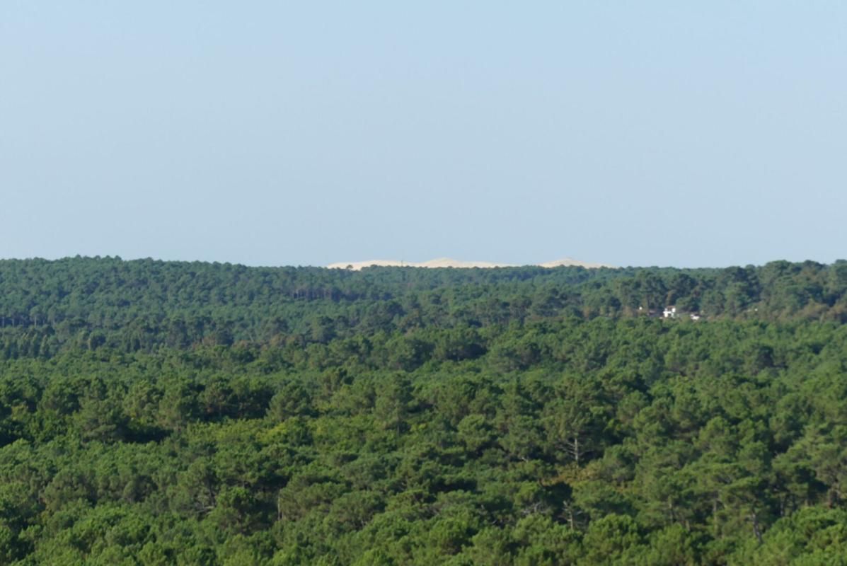 ARCACHON Appartement avec vue PANORAMIQUE SUR LE BASSIN D'ARCACHON 2