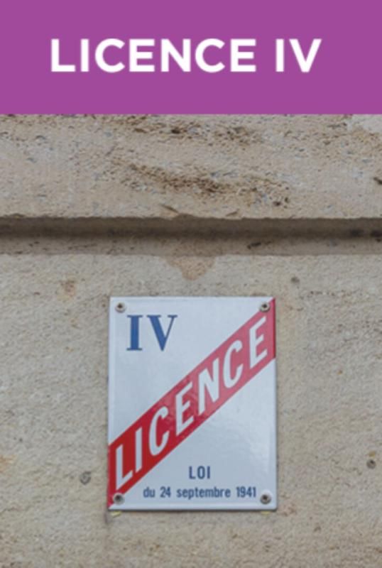 BOURGOIN-JALLIEU Fonds de commerce Restaurant  en Roof Top - Licence 4  - Hyper Centre 3