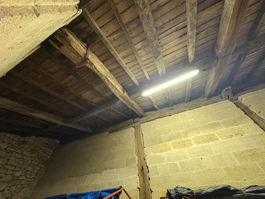 SAINT-PEY-D'ARMENS RARE : Devenez propriétaire de votre "Micro-Château" en AOC Saint-Émilion 2