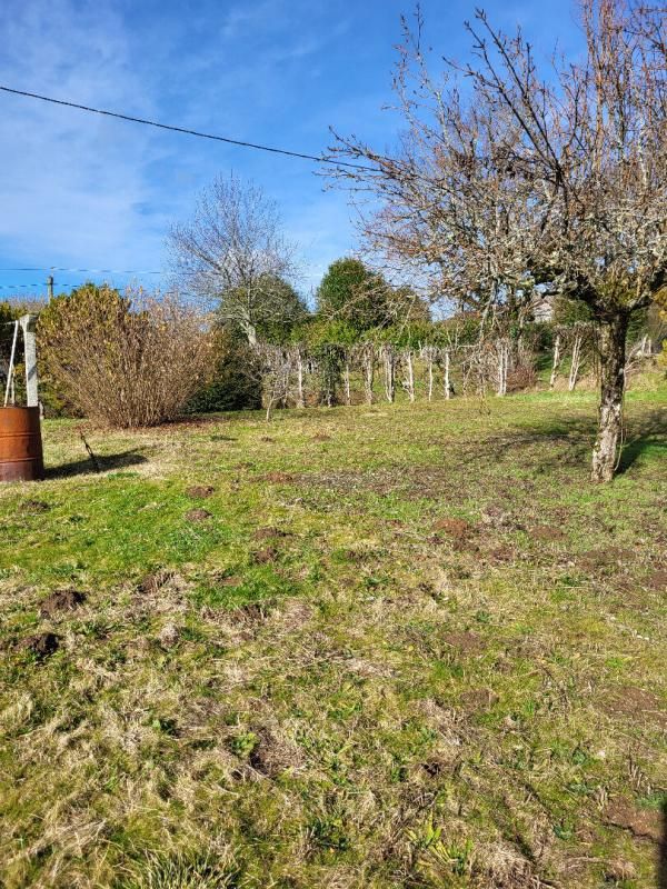 SORGES Maison de caractère 158 M2 avec jardin et dépendance 4