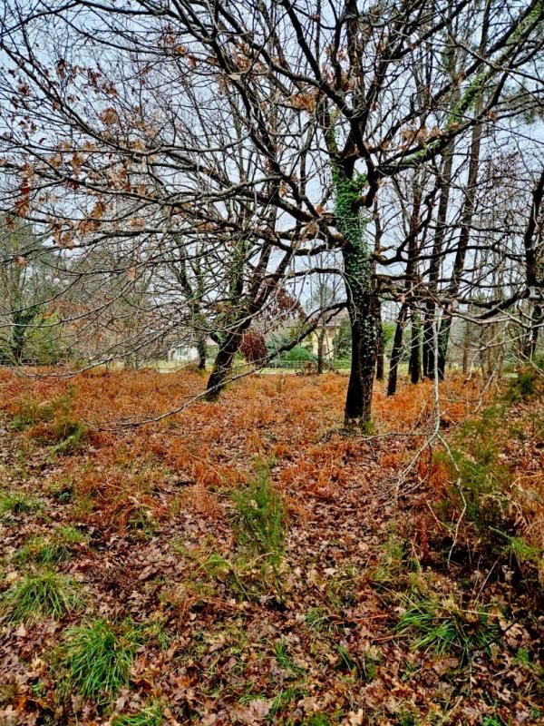 SAINT-JULIEN-EN-BORN Terrain route de Contis 1