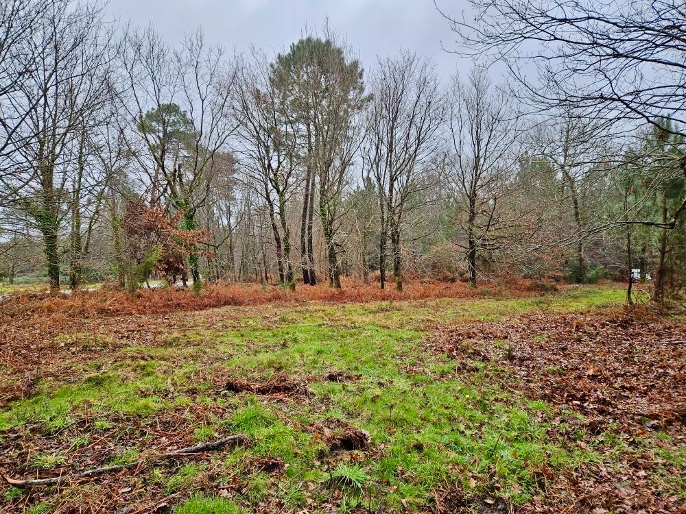 SAINT-JULIEN-EN-BORN Terrain route de Contis 2