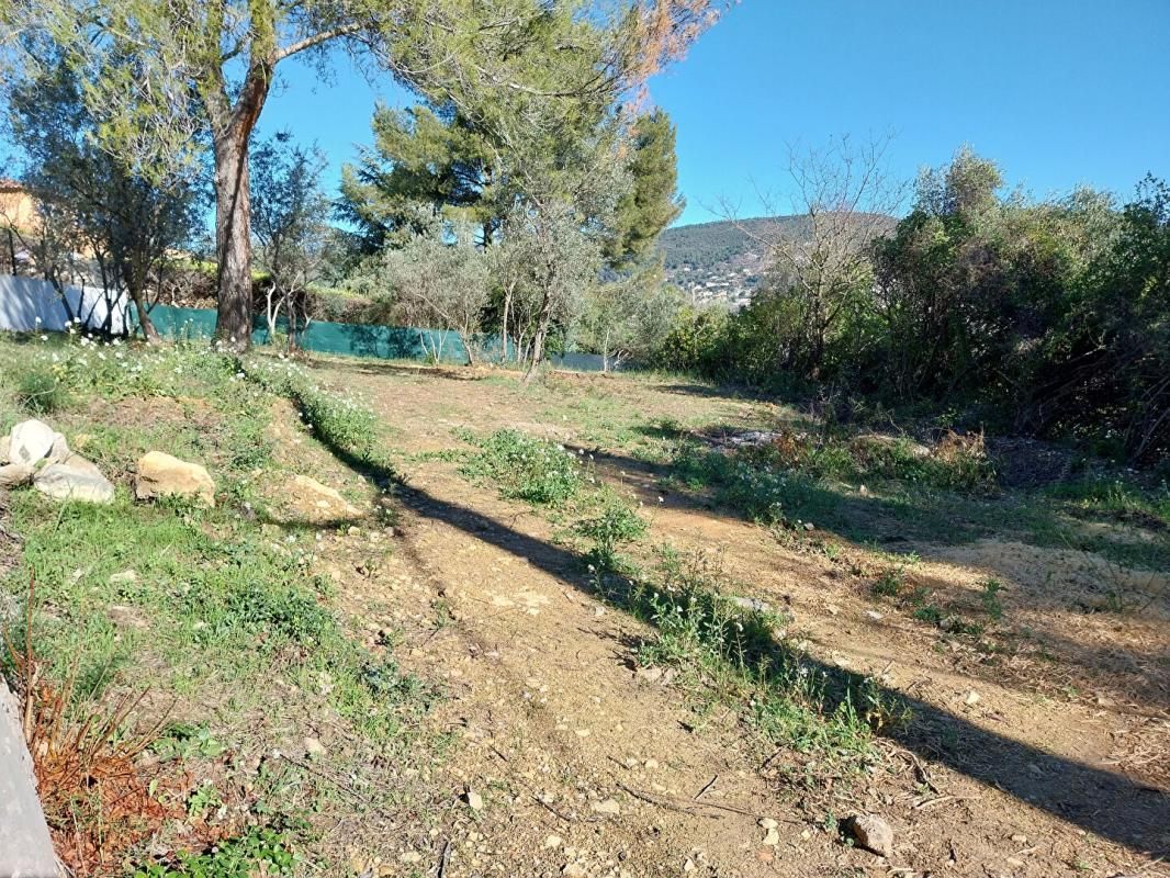DRAGUIGNAN Terrain Draguignan 800m2 3