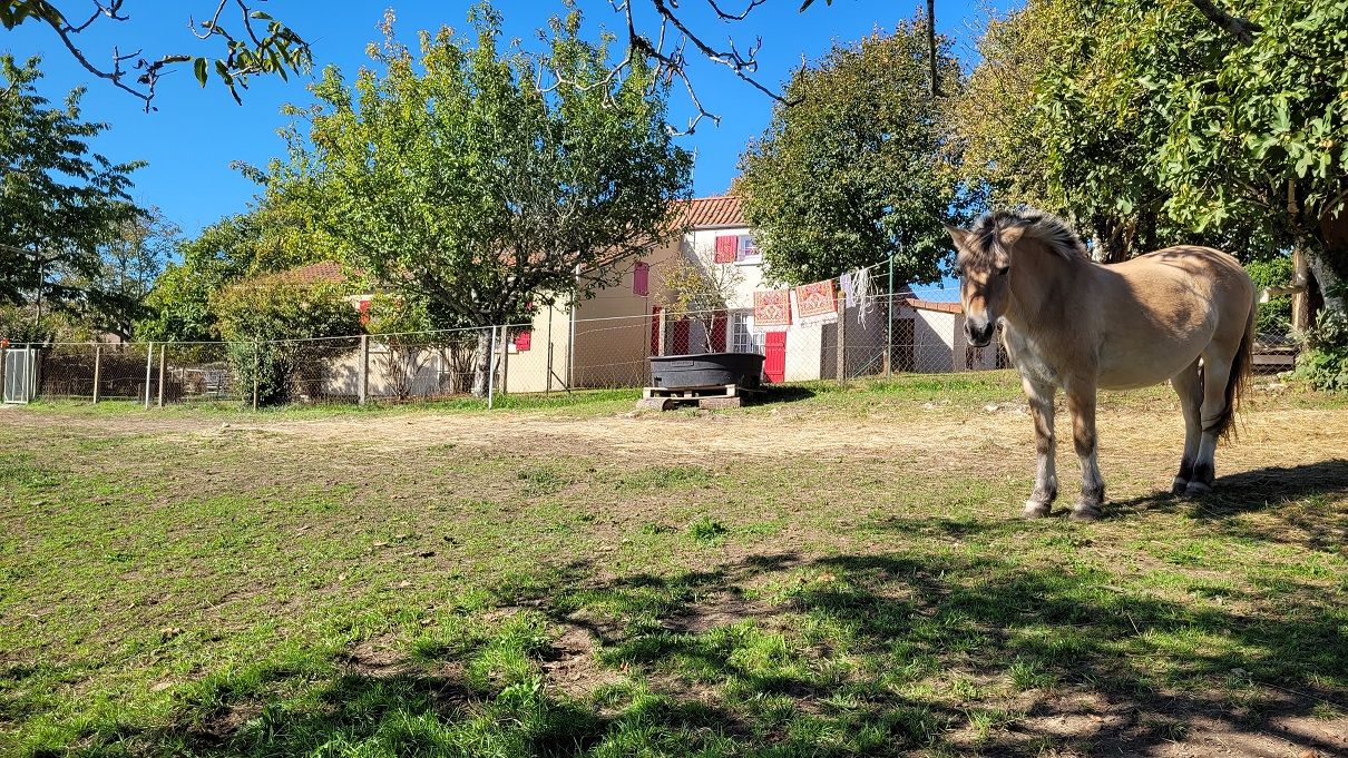 PLAZAC Plazac- Vallée Vézère - Maison en pierre avec 2 parties indépendantes. Vue magnifique. 3/4 chambres. Dépendances. Terrain attenant et non attenant: environ 3ha 3