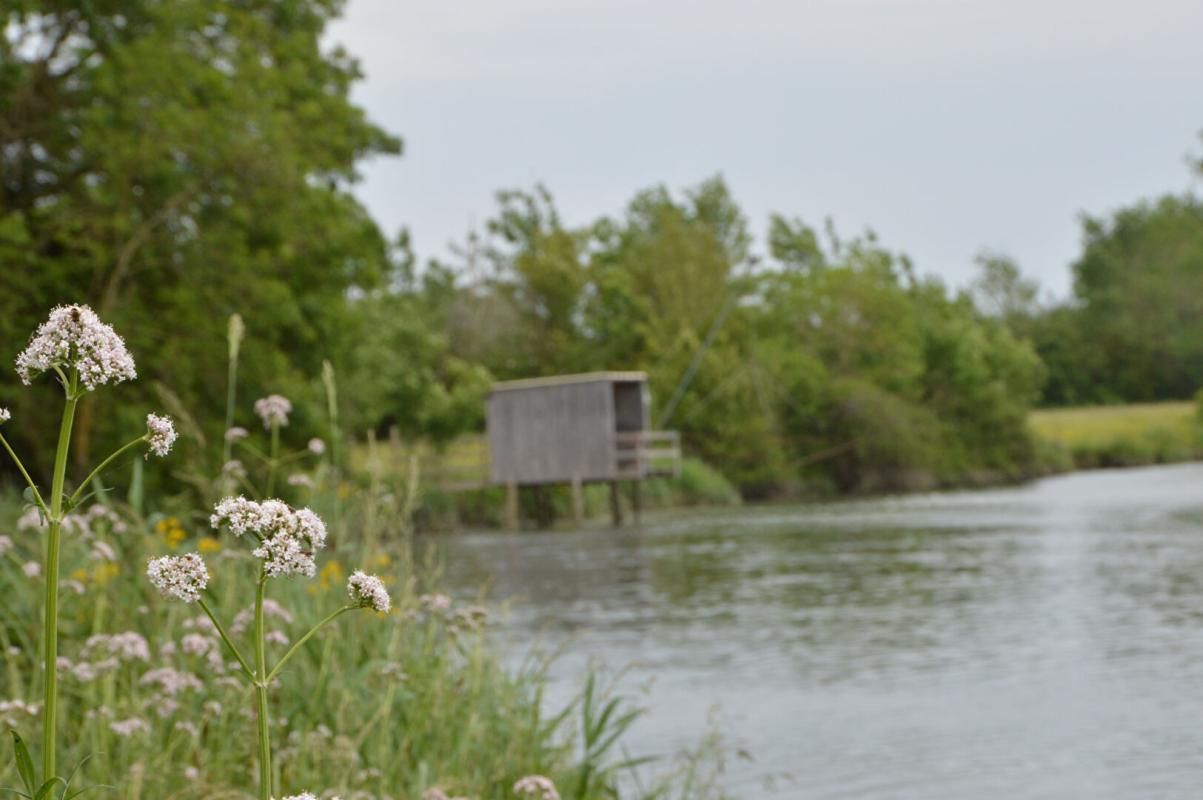 Terrain constructible 17 Le Mung  libre choix du constructeur