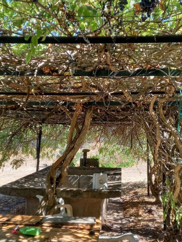 GONFARON Propriété de loisirs, Gonfaron, sur 1439 m2 de jardin plat 3