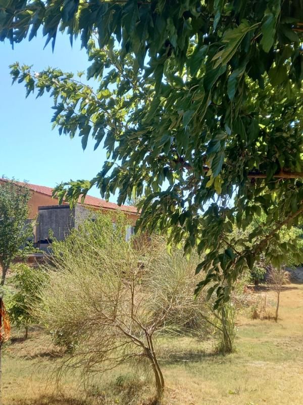 GONFARON Propriété de loisirs, Gonfaron, sur 1439 m2 de jardin plat 4