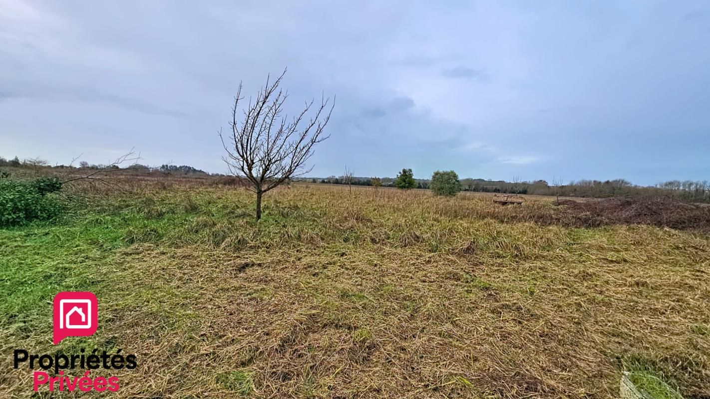 CHAILLEVETTE Terrain  de loisir Chaillevette 1186 m2 3