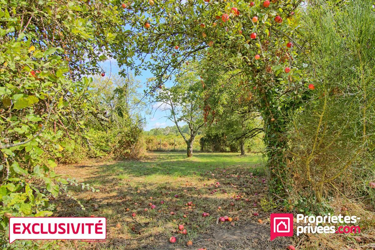 MARCE Maison Marce 5 pièces 140 m2 4