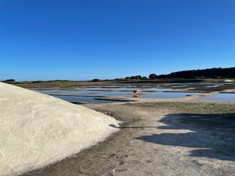 GUERANDE GUERANDE - DANS UN VILLAGE DE PALUDIER : BELLE NEO-BRETONNE ATYPIQUE AVEC BEAUCOUP DE CARACTERE - JARDIN - GARAGE 1