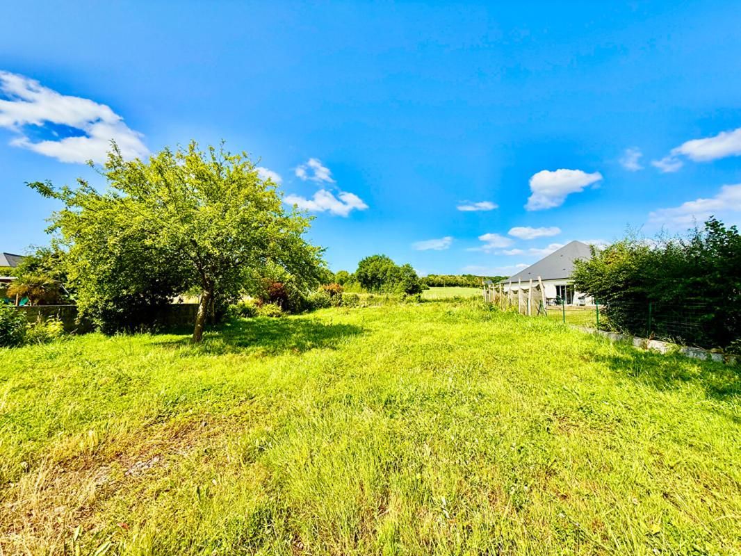 CHAMPIGNE Terrain Champigné 941 m2 2