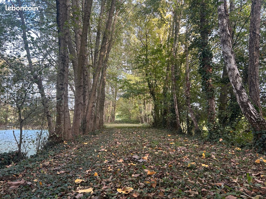 BOUCHAMPS-LES-CRAON superbe étang 3