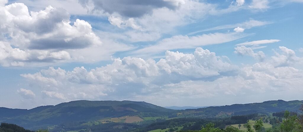 CELLES-SUR-DUROLLE Celles sur Durolle (63250) Ensemble immobilier Maison (+/-160m2) + grange (+/- 270m2) + terrain constructible (+/-3500m2) 2