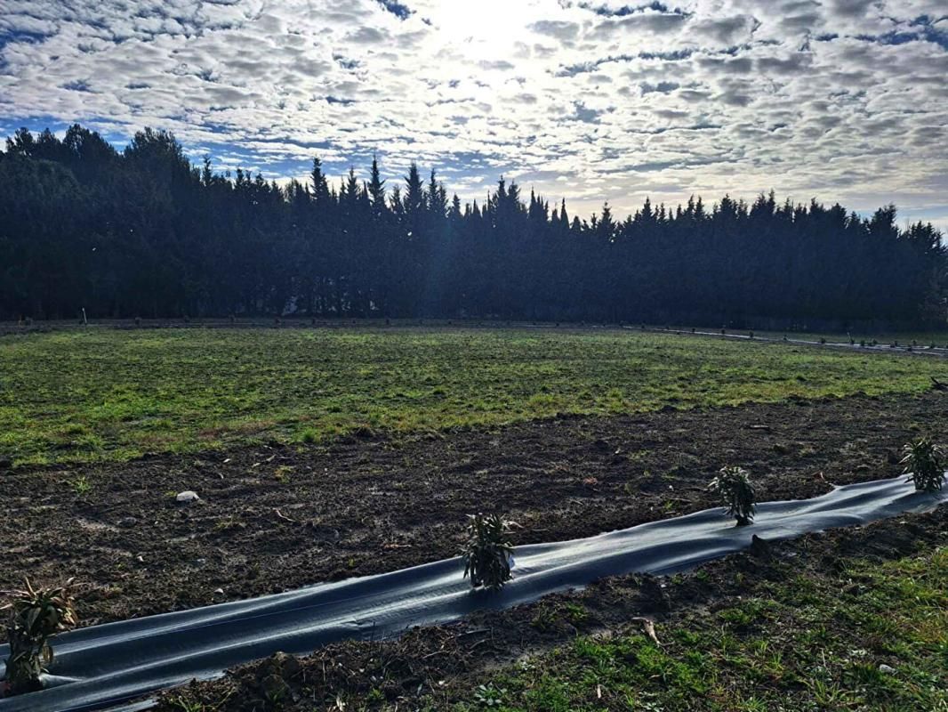 Terrain à bâtir secteur Montréal