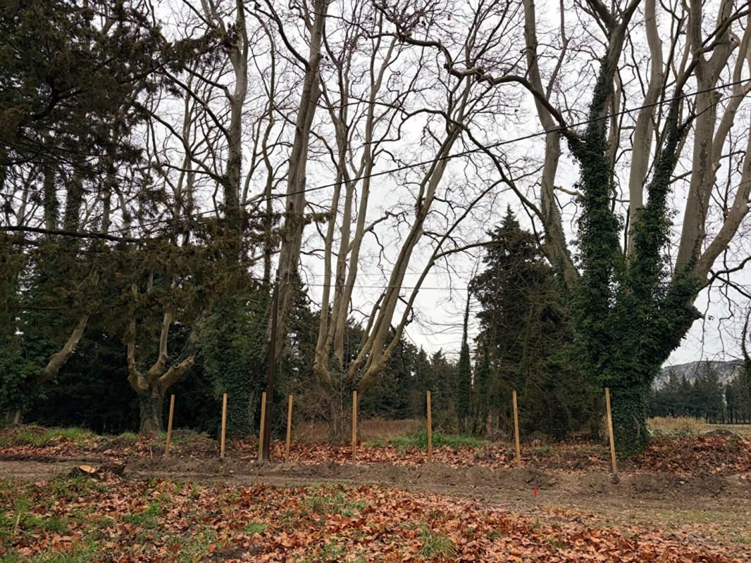 PUJAUT Terrain de loisirs Pujaut 1682 m2 61000 2