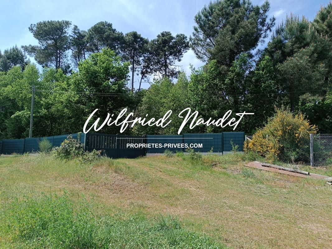 MULSANNE Terrain Mulsanne 2