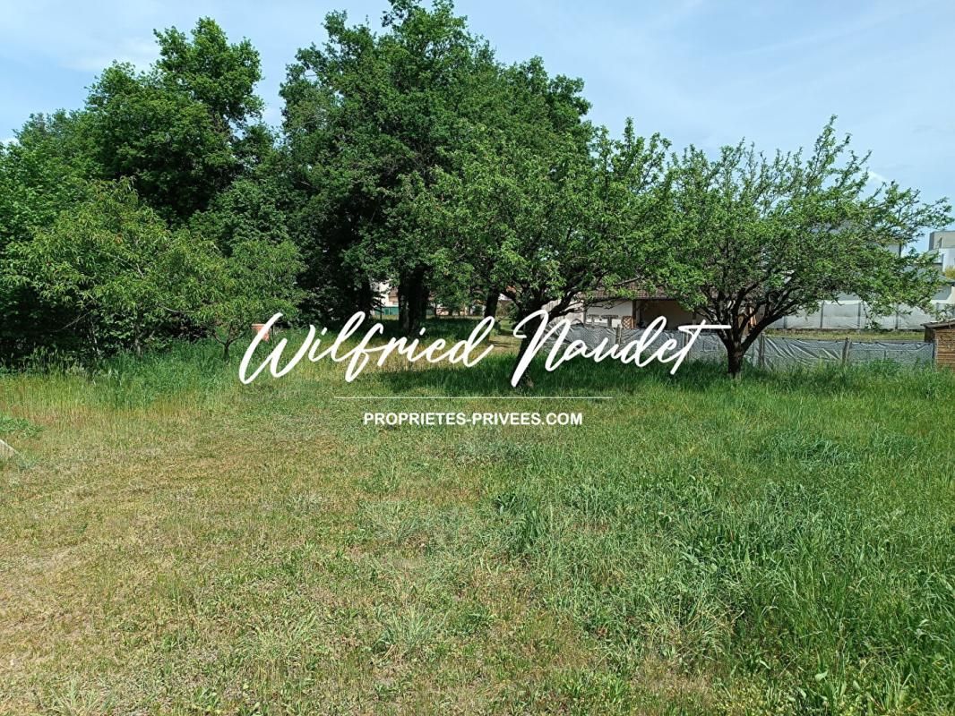 MULSANNE Terrain Mulsanne 3