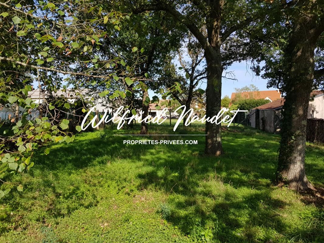 MULSANNE Terrain Mulsanne 4