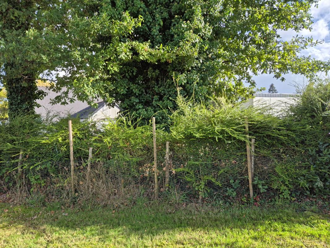 CLEGUER RARE - A vendre terrain constructible de 360 m2, plat, à 400 m du centre de Cléguer (56), 15 min de Lorient, 22 min de la mer (Larmor Plage) 3