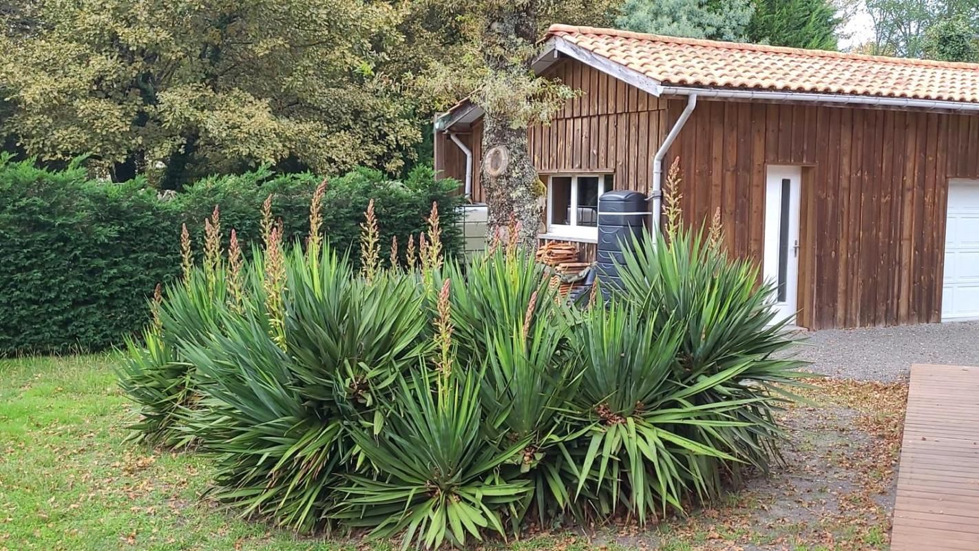 BELIN-BELIET MAISON AVEC GARAGE 4CH + BUREAU + DOUBLE GARAGE + PISCINE 3