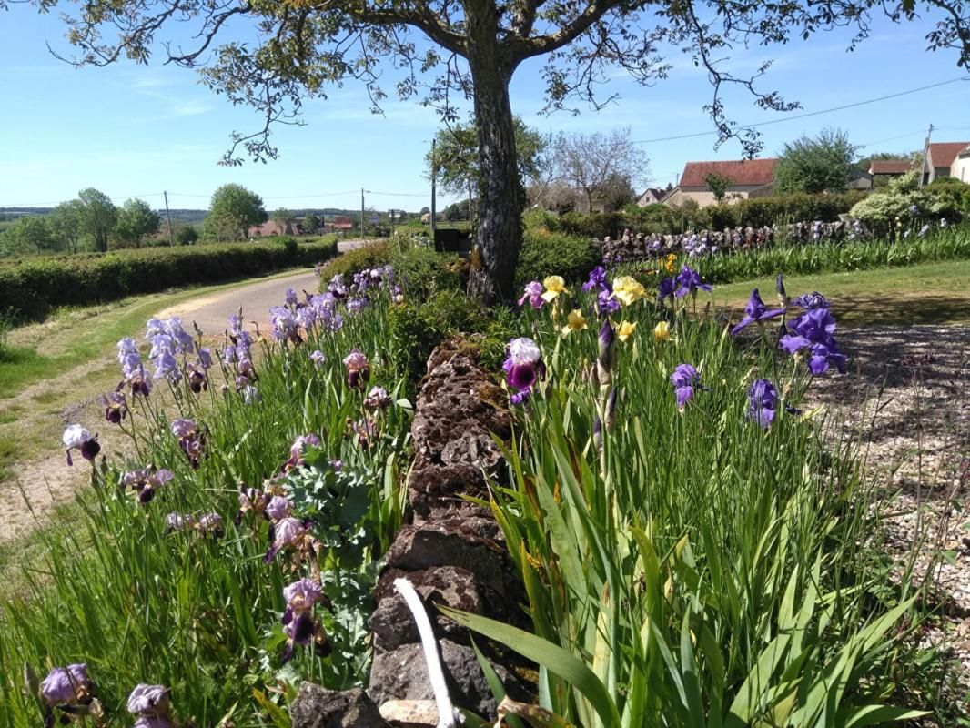 CHANGY Charmante longère en pierre à vendre à Changy de 200 m2 et ses 2000 Iris 2
