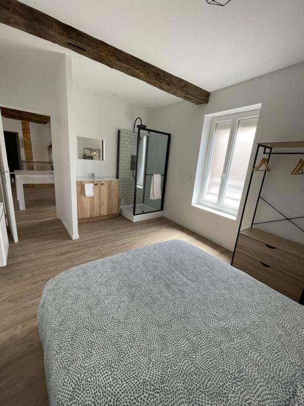 ALBI Immeuble de rapport entièrement rénové - Albi Madeleine 3