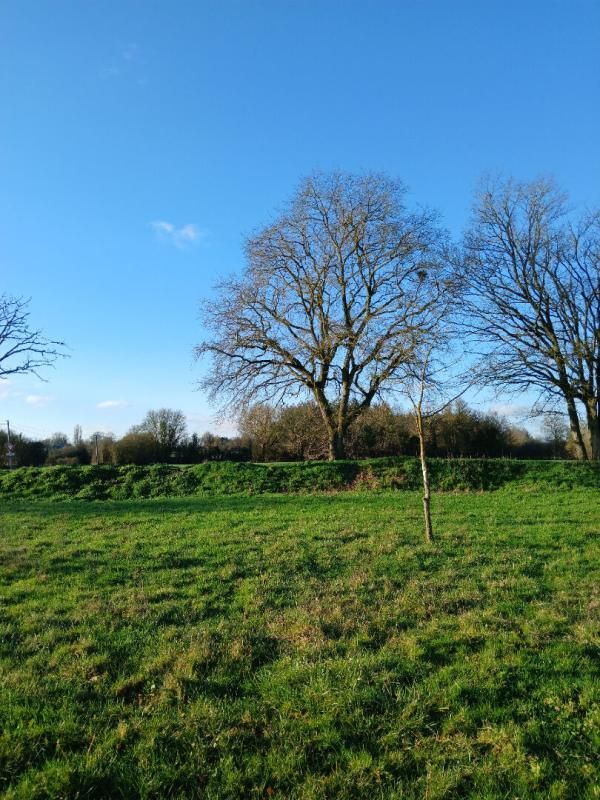 CONTIGNE Maison Les Hauts d'Anjou 5 pièces 155 m2 3