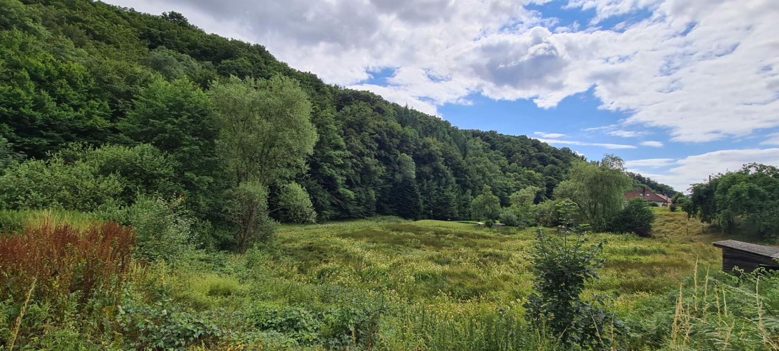 ROUGEGOUTTE 90200 ROUGEGOUTTE 3