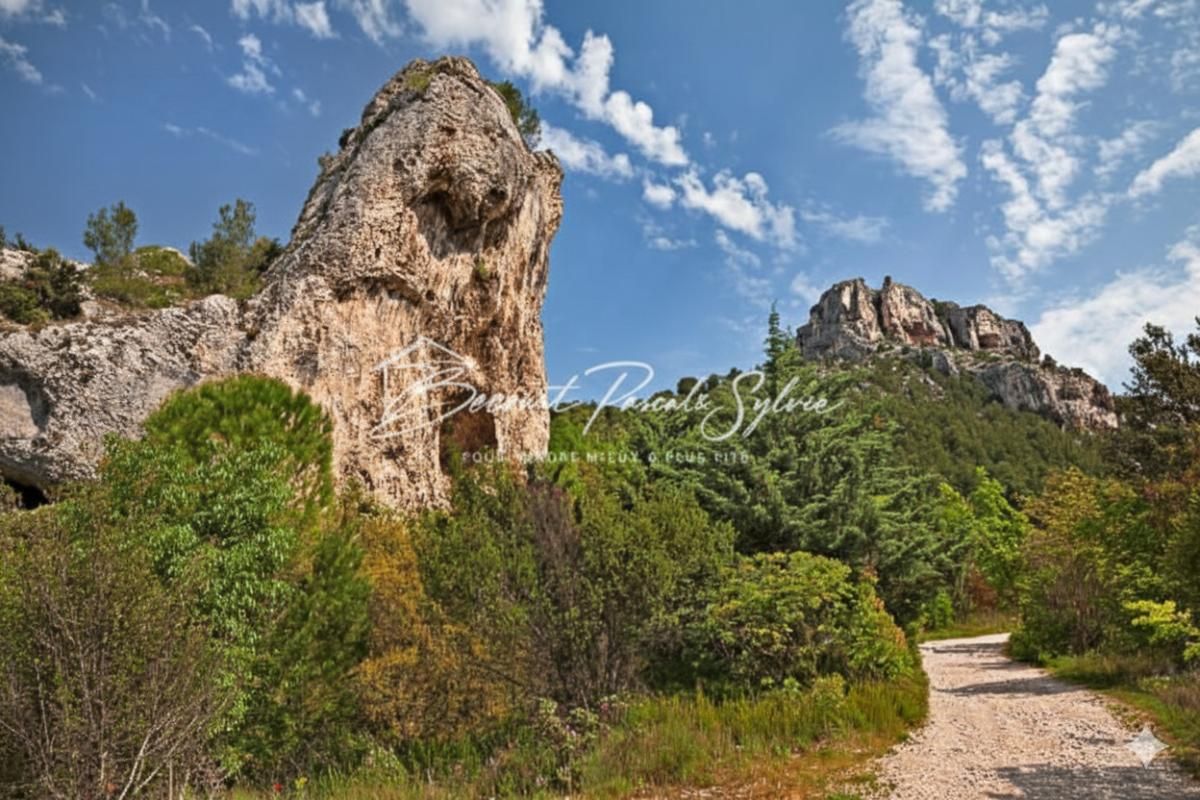 FONTAINE-DE-VAUCLUSE Terrain agricole de plus de 17 hectares à  Fontaine De Vaucluse 84800 3