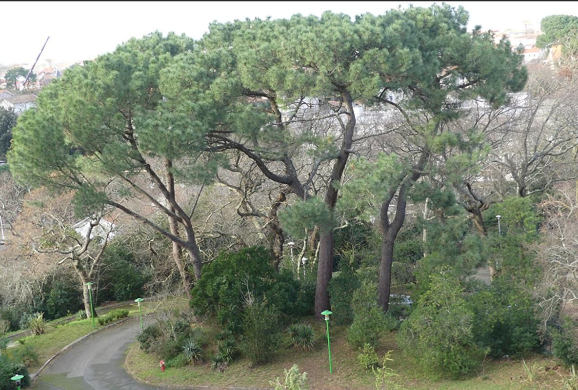 ARCACHON Studio avec vue panoramique sur le Bassin d'Arcachon 4