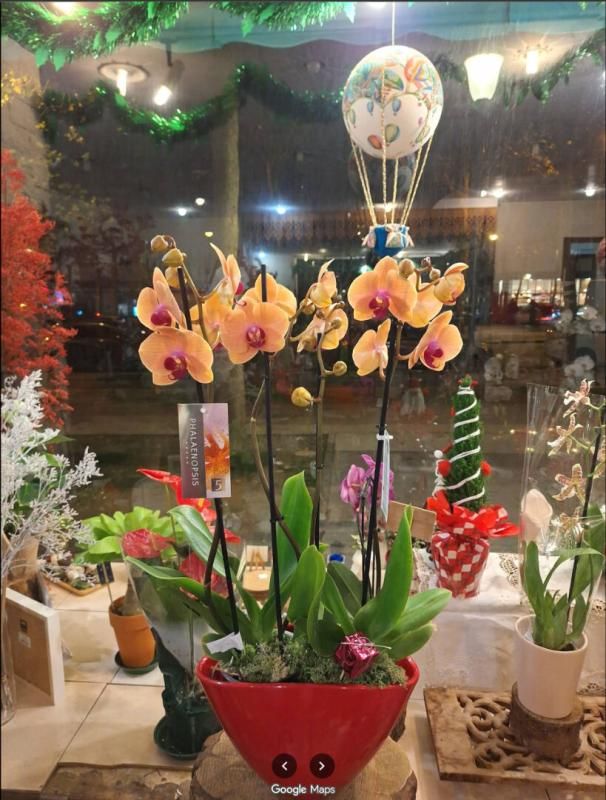 PARIS-13E-ARRONDISSEMENT 75013 PARIS : RARE !! FLEURISTE - 72 M² AVEC LOGEMENT DE FONCTION 43 M²  - SITUÉ SUR UN BOULEVARD 3