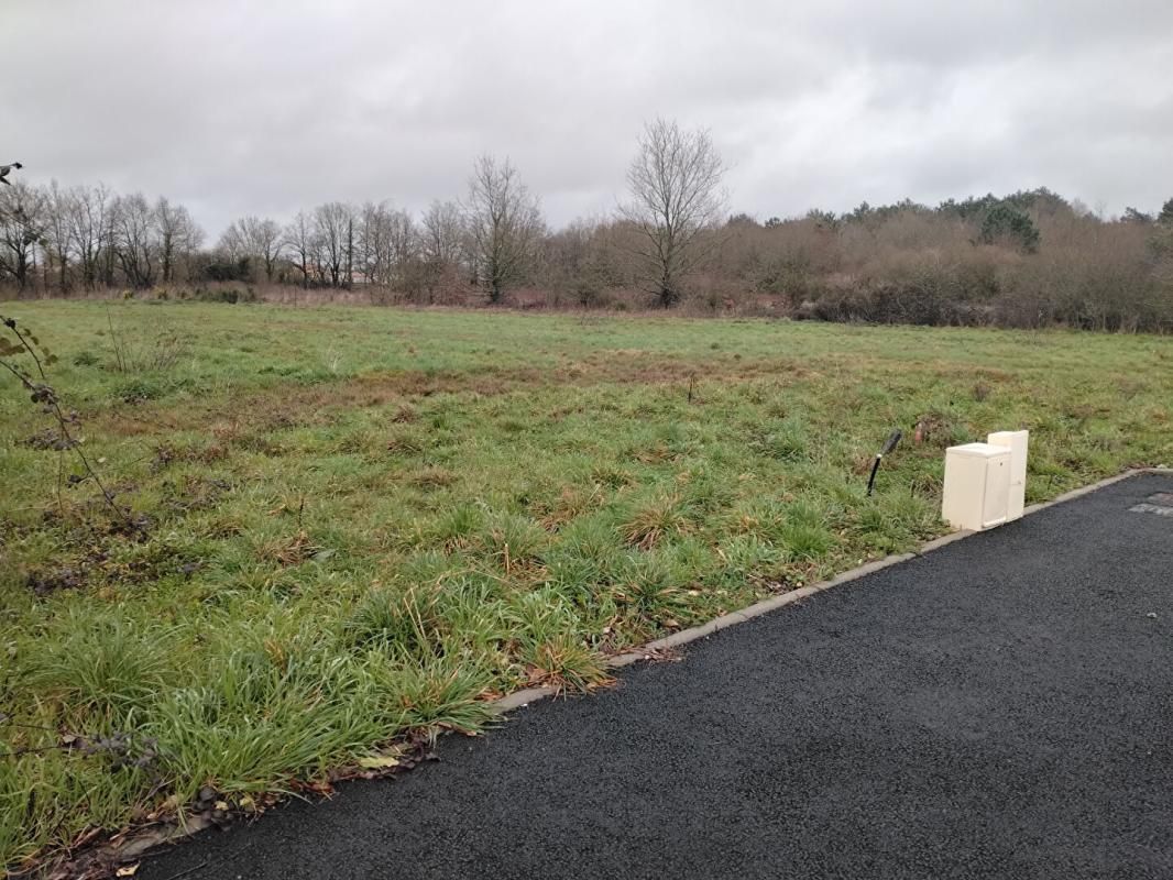 LA MARNE Terrain La Marne 913 m2 2