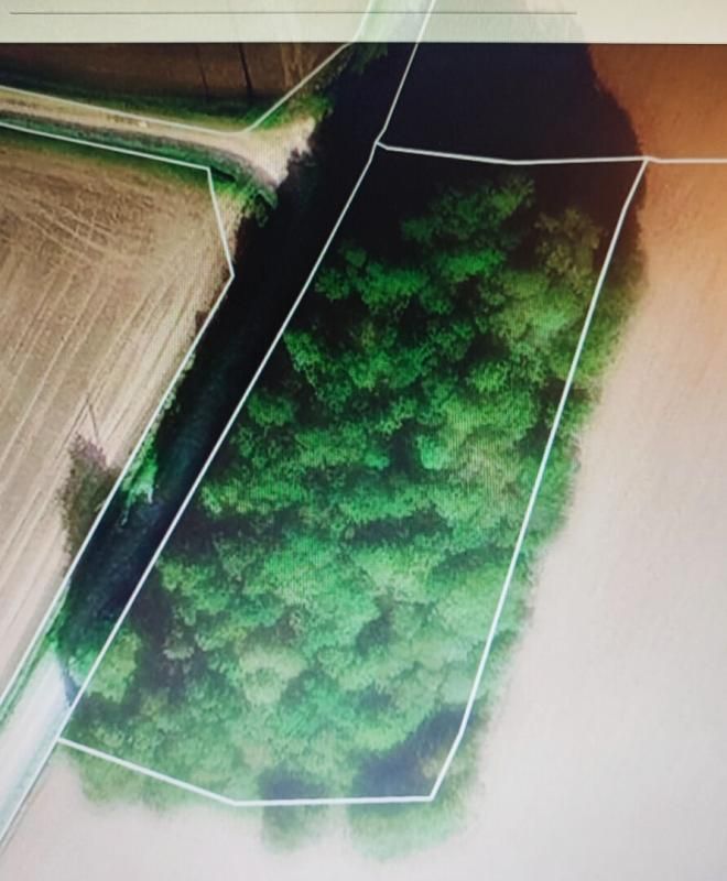 SAINT-VRAN Domaine forestier Saint Vran 1